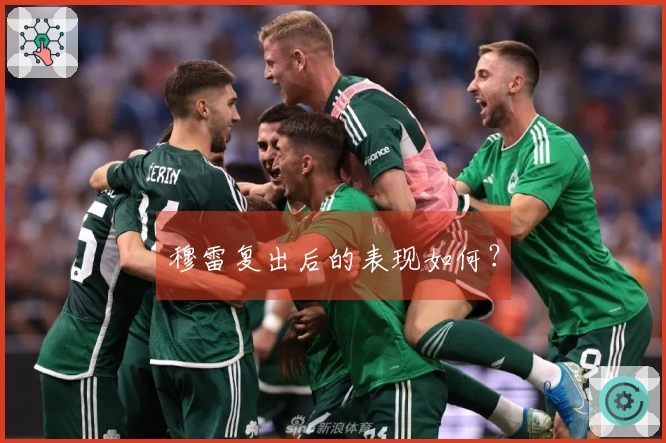 穆雷复出后的表现如何？