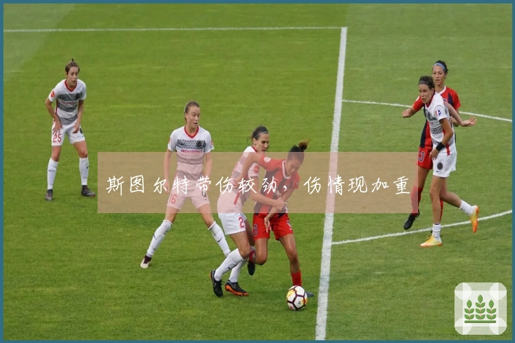 斯图尔特带伤较劲，伤情现加重